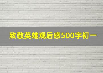 致敬英雄观后感500字初一