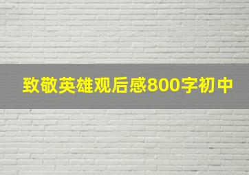 致敬英雄观后感800字初中