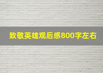 致敬英雄观后感800字左右