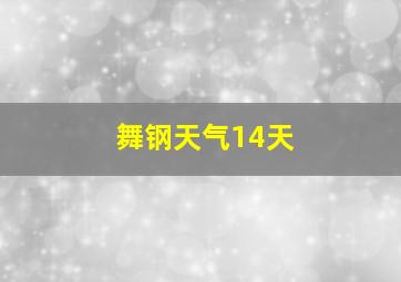 舞钢天气14天