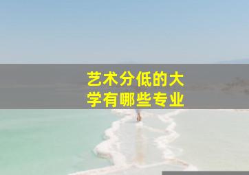 艺术分低的大学有哪些专业