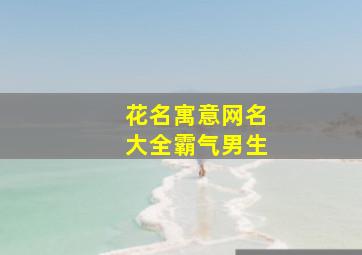 花名寓意网名大全霸气男生