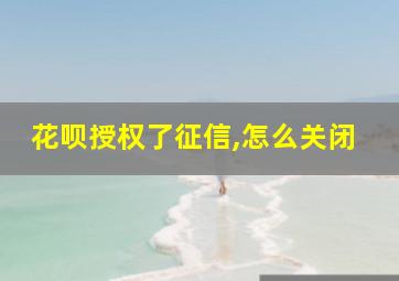 花呗授权了征信,怎么关闭