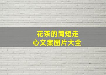 花茶的简短走心文案图片大全