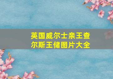 英国威尔士亲王查尔斯王储图片大全