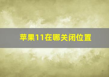 苹果11在哪关闭位置