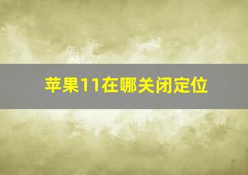 苹果11在哪关闭定位