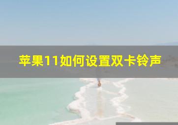 苹果11如何设置双卡铃声