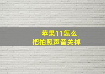 苹果11怎么把拍照声音关掉