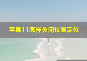 苹果11怎样关闭位置定位