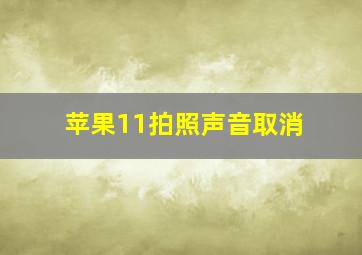 苹果11拍照声音取消