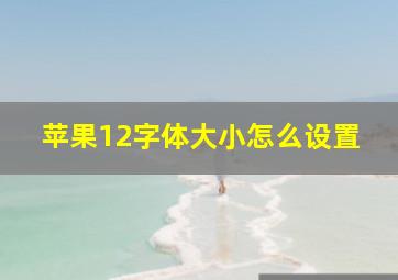 苹果12字体大小怎么设置