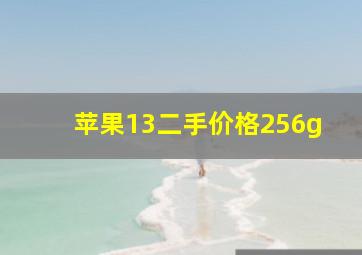 苹果13二手价格256g