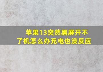 苹果13突然黑屏开不了机怎么办充电也没反应