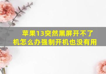 苹果13突然黑屏开不了机怎么办强制开机也没有用