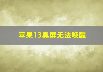 苹果13黑屏无法唤醒