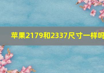 苹果2179和2337尺寸一样吗