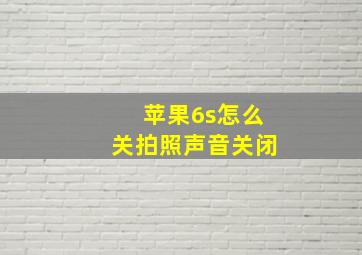 苹果6s怎么关拍照声音关闭