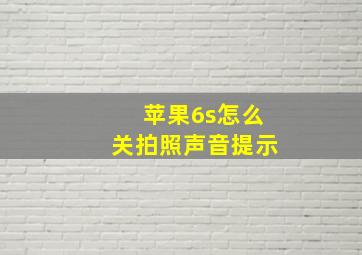 苹果6s怎么关拍照声音提示