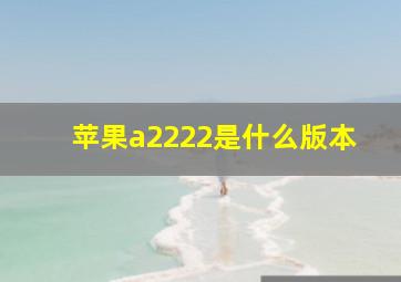 苹果a2222是什么版本