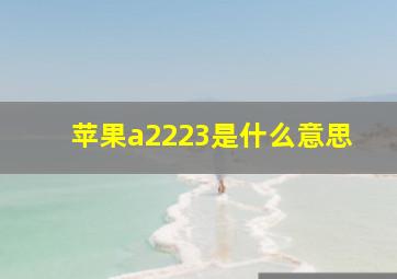 苹果a2223是什么意思