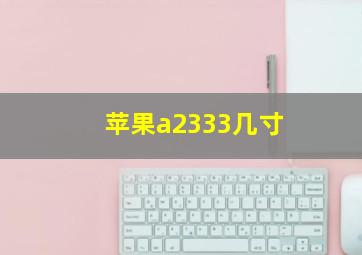 苹果a2333几寸