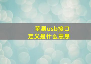 苹果usb接口定义是什么意思