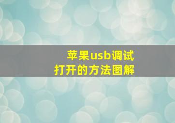 苹果usb调试打开的方法图解