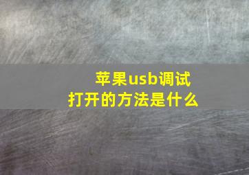 苹果usb调试打开的方法是什么