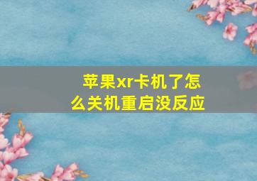 苹果xr卡机了怎么关机重启没反应