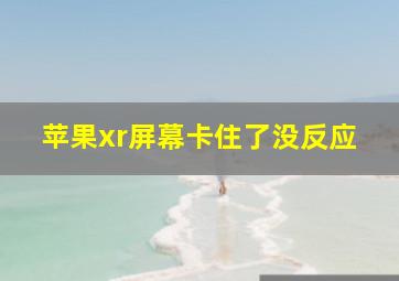 苹果xr屏幕卡住了没反应