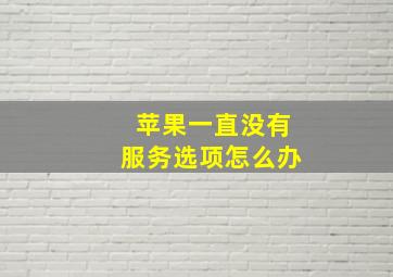 苹果一直没有服务选项怎么办