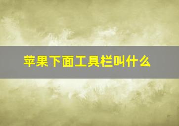 苹果下面工具栏叫什么