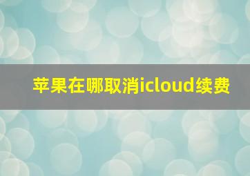 苹果在哪取消icloud续费