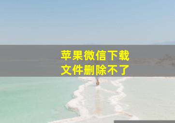 苹果微信下载文件删除不了