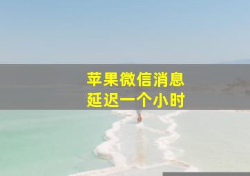 苹果微信消息延迟一个小时