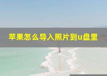 苹果怎么导入照片到u盘里