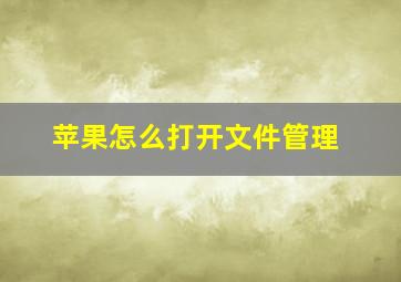 苹果怎么打开文件管理