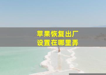 苹果恢复出厂设置在哪里弄