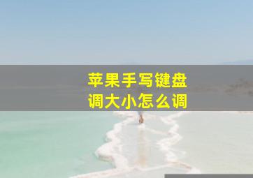 苹果手写键盘调大小怎么调