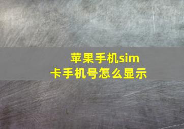 苹果手机sim卡手机号怎么显示