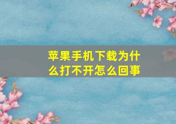 苹果手机下载为什么打不开怎么回事