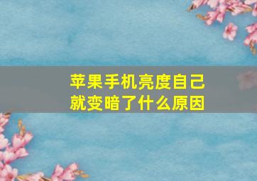 苹果手机亮度自己就变暗了什么原因