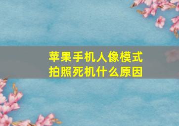 苹果手机人像模式拍照死机什么原因