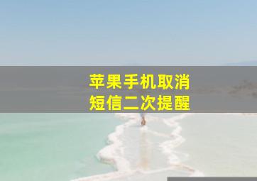 苹果手机取消短信二次提醒