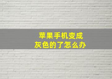 苹果手机变成灰色的了怎么办