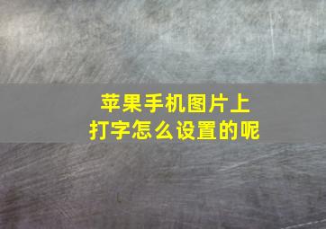 苹果手机图片上打字怎么设置的呢