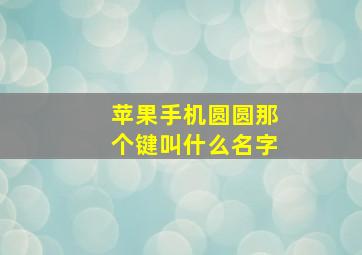 苹果手机圆圆那个键叫什么名字