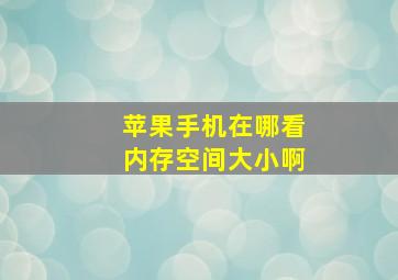 苹果手机在哪看内存空间大小啊