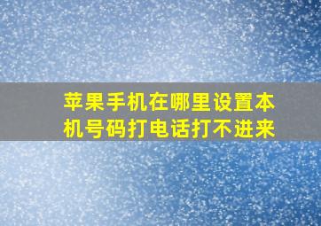 苹果手机在哪里设置本机号码打电话打不进来